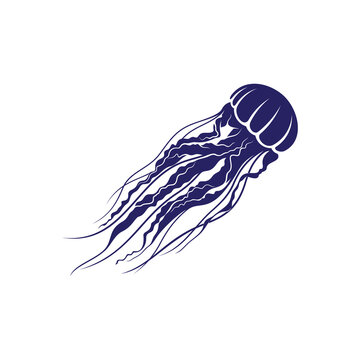 Jelly Traders