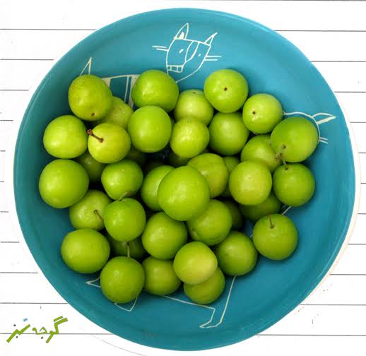 Green Cherry