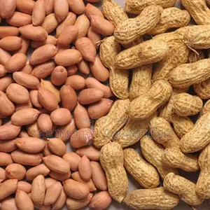 Groundnut (brown small)