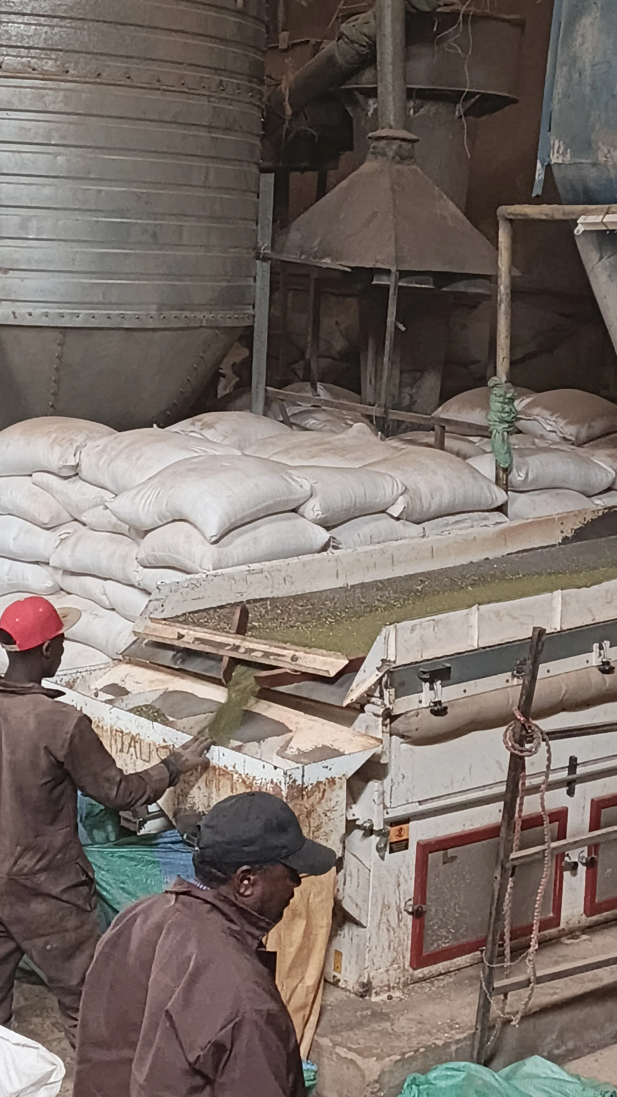 Grain Polishing